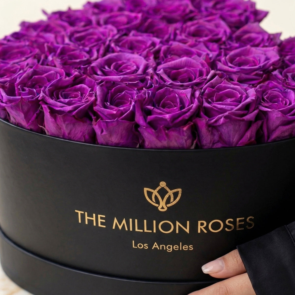 Scatola Nera a Forma di Cuore | Rose Viola Brillante