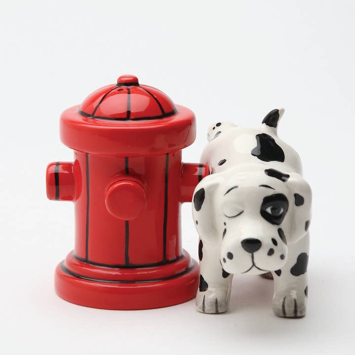 Where's The Fire Salt And Pepper Shaker Set Pacific Trading 243.8 g