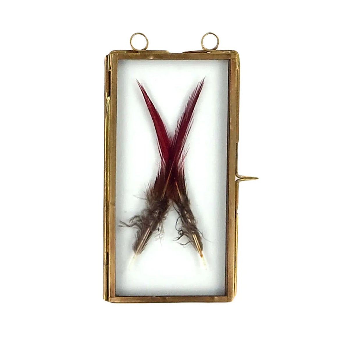 BRASS FRAME WITH HANGING LOOPS 2.5"X5"