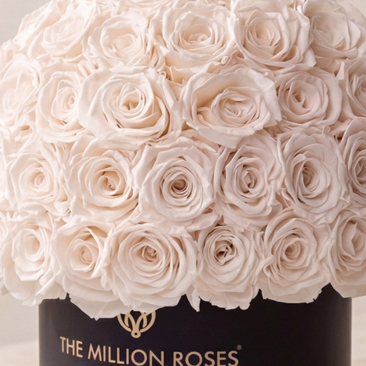 Boîte Superdome noire classique | Roses blanches