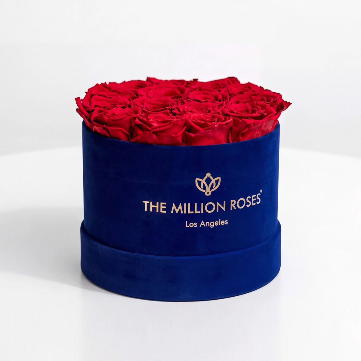 Boîte en suédine bleu roi classique | Roses rouges