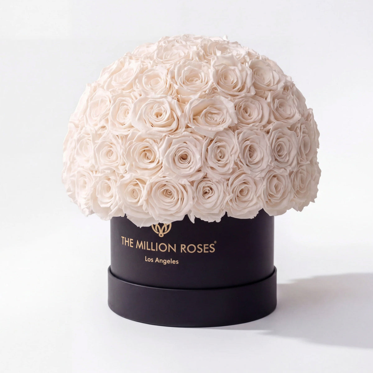 Boîte Superdome noire classique | Roses blanches