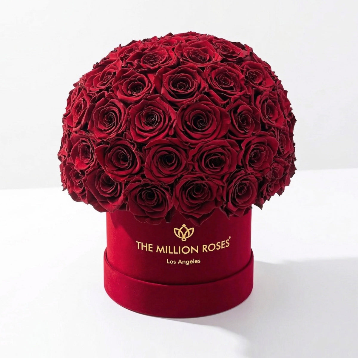 Classic Bordeaux Suede Superdome Box | Rose bordeaux