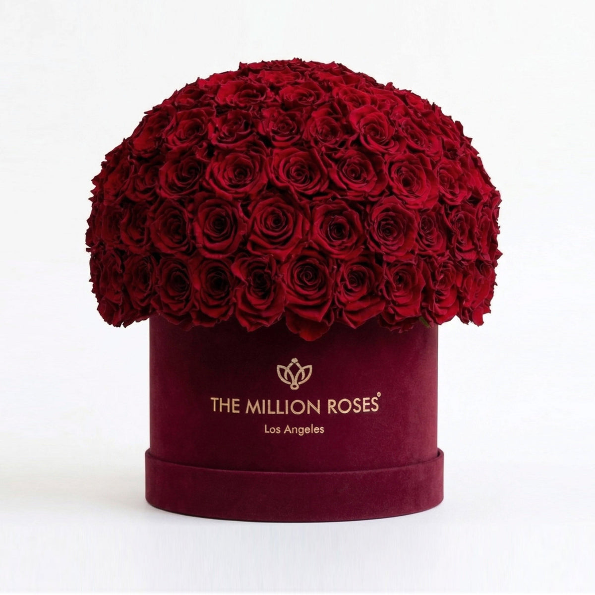 Box Superdome in camoscio Bordeaux classico | Rose rosse
