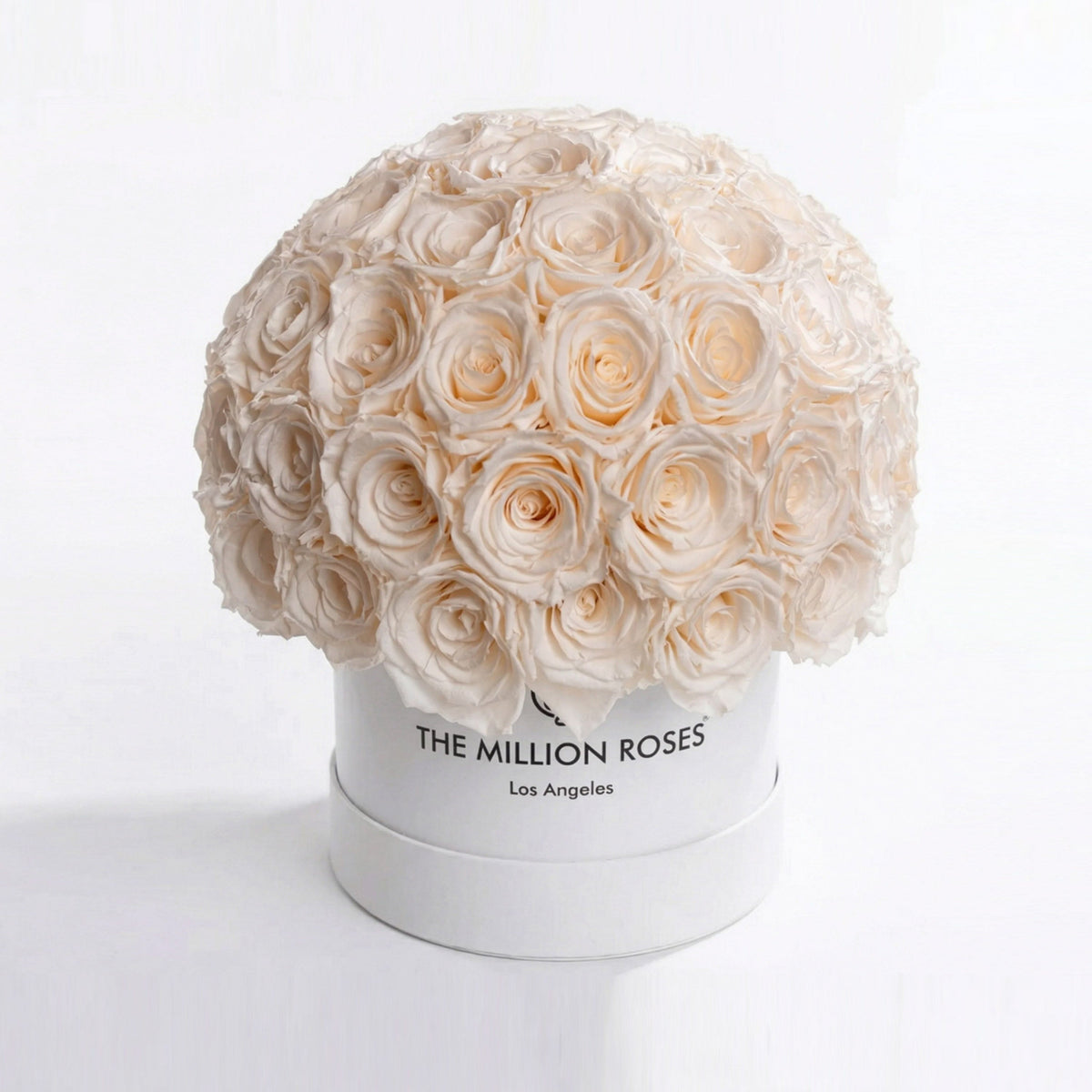 Boîte Superdome blanche classique | Roses blanches