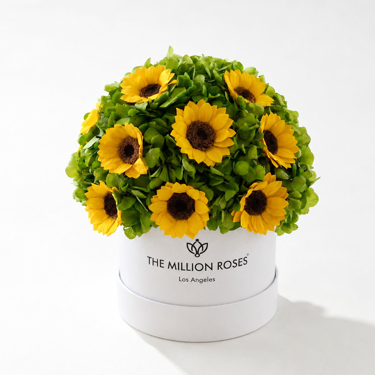 Classic White Box | Ortensie verdi e girasoli