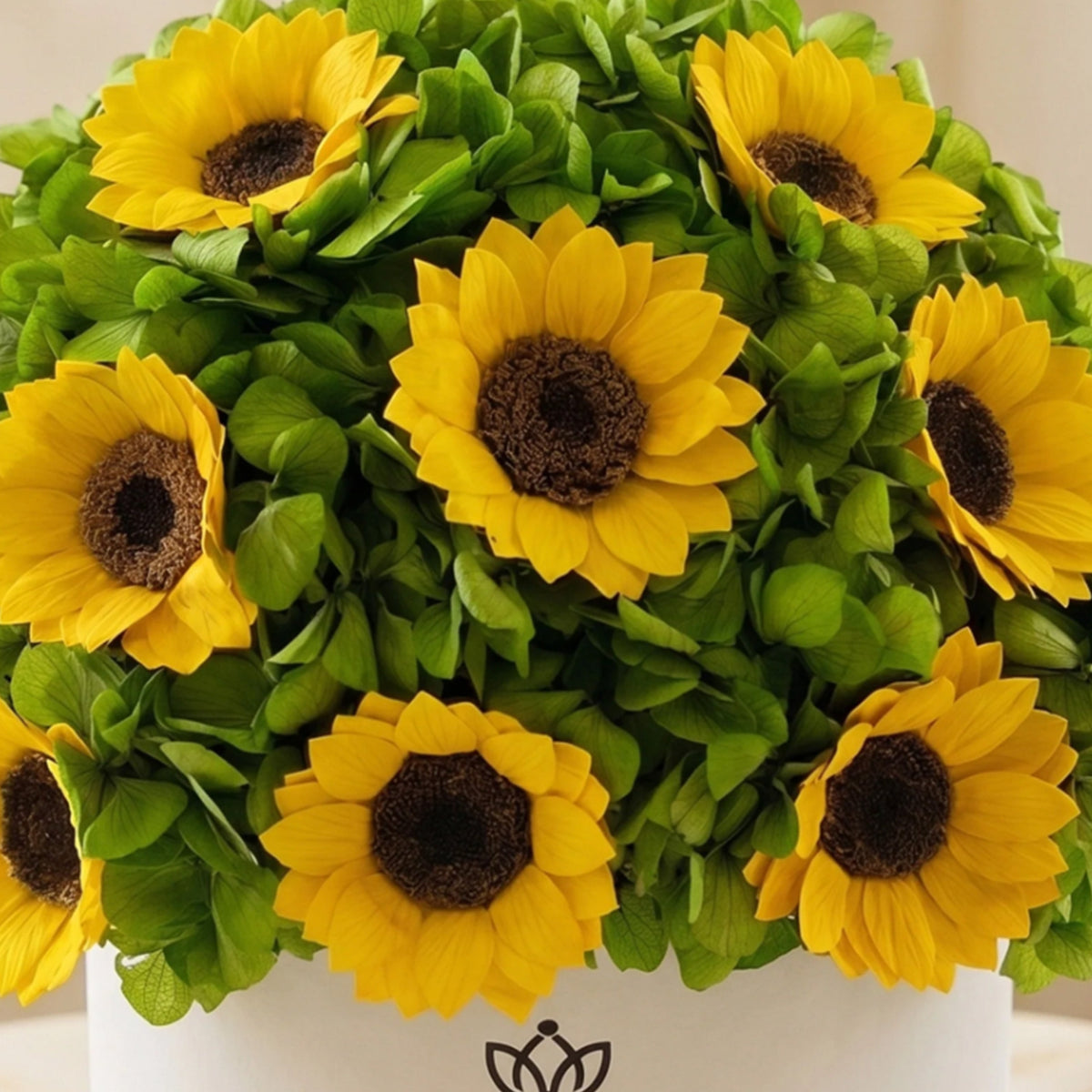 Classic White Box | Ortensie verdi e girasoli