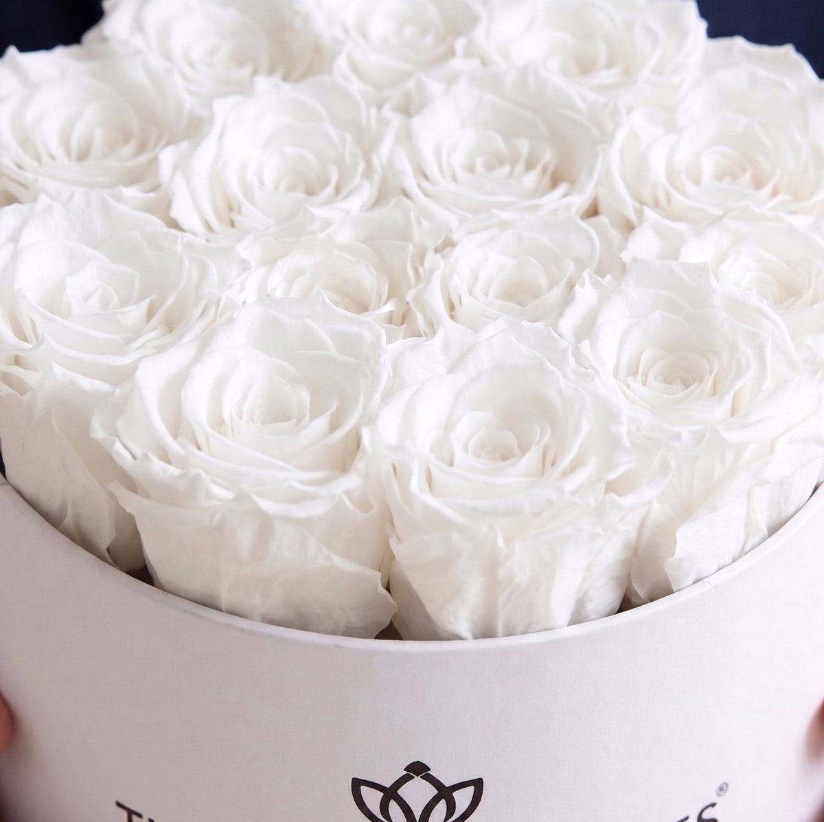 Scatola Bianca Classica | Rose Bianche