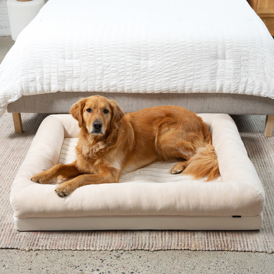 Lit pour chien rafraîchissant à 4 rebords PupChill™ - Sable arctique
