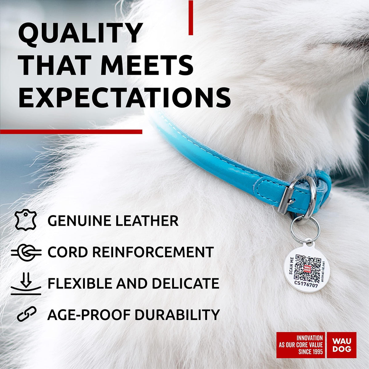 Collare per cani in pelle arrotolata, taglia XS, collo 25–33 cm, blu