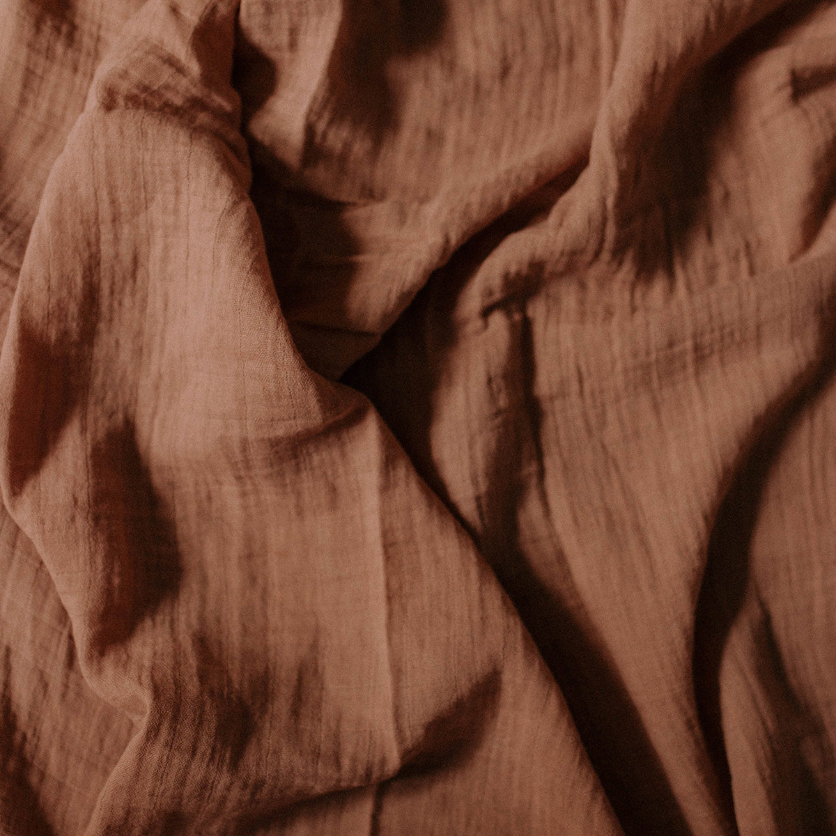 Ensemble de langes Dune