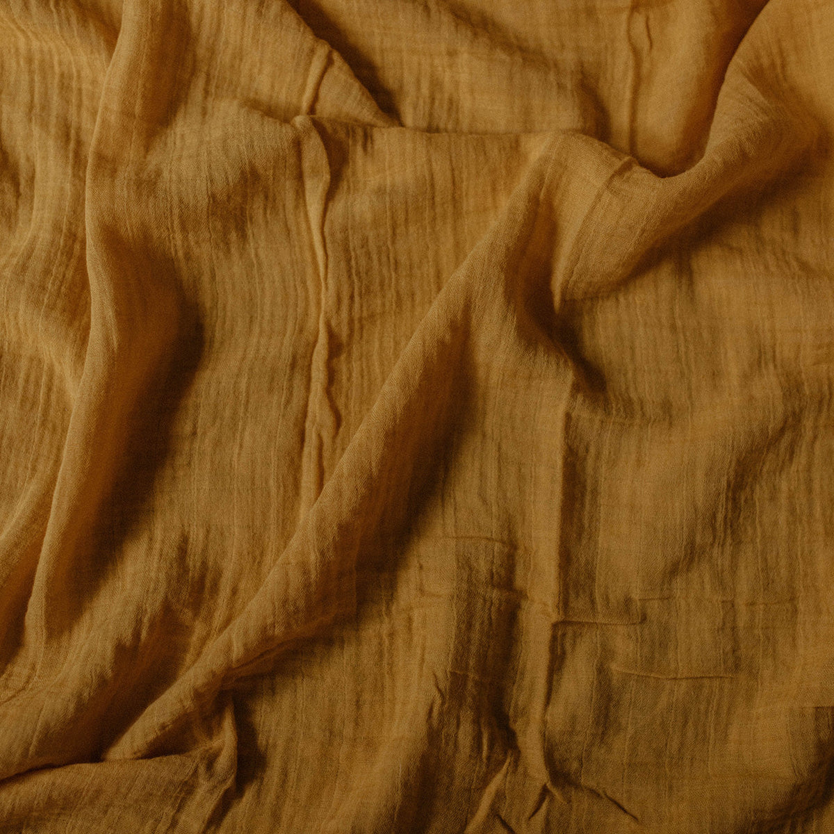 Ensemble de langes Dune
