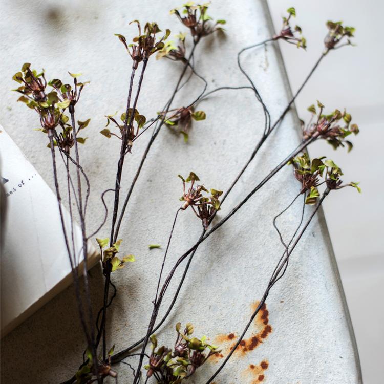 Mazzo di fiori di Erysimum, 28 cm di altezza