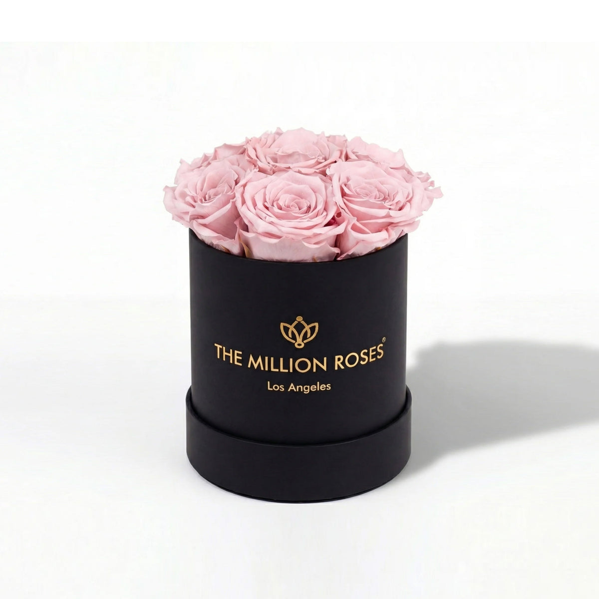 Boîte noire Essence | Roses rose clair