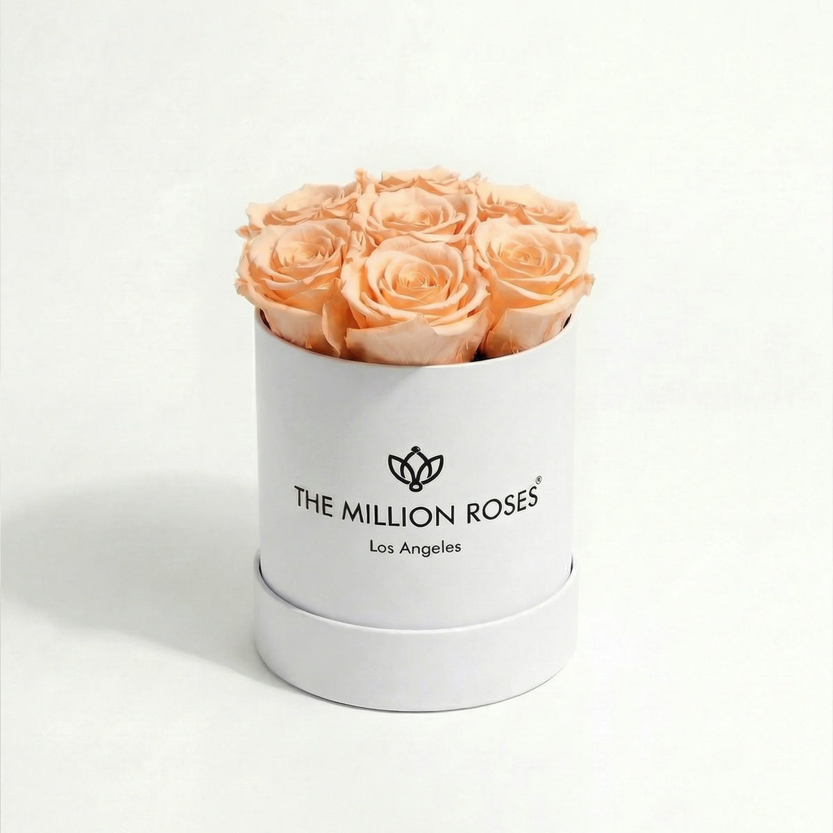 Essence White Box | Rose Pesca