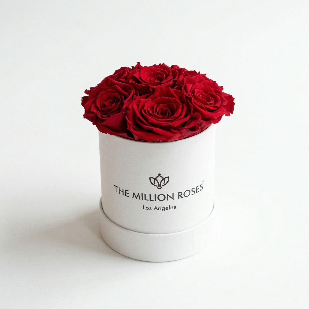 Boîte blanche Essence | Roses rouges