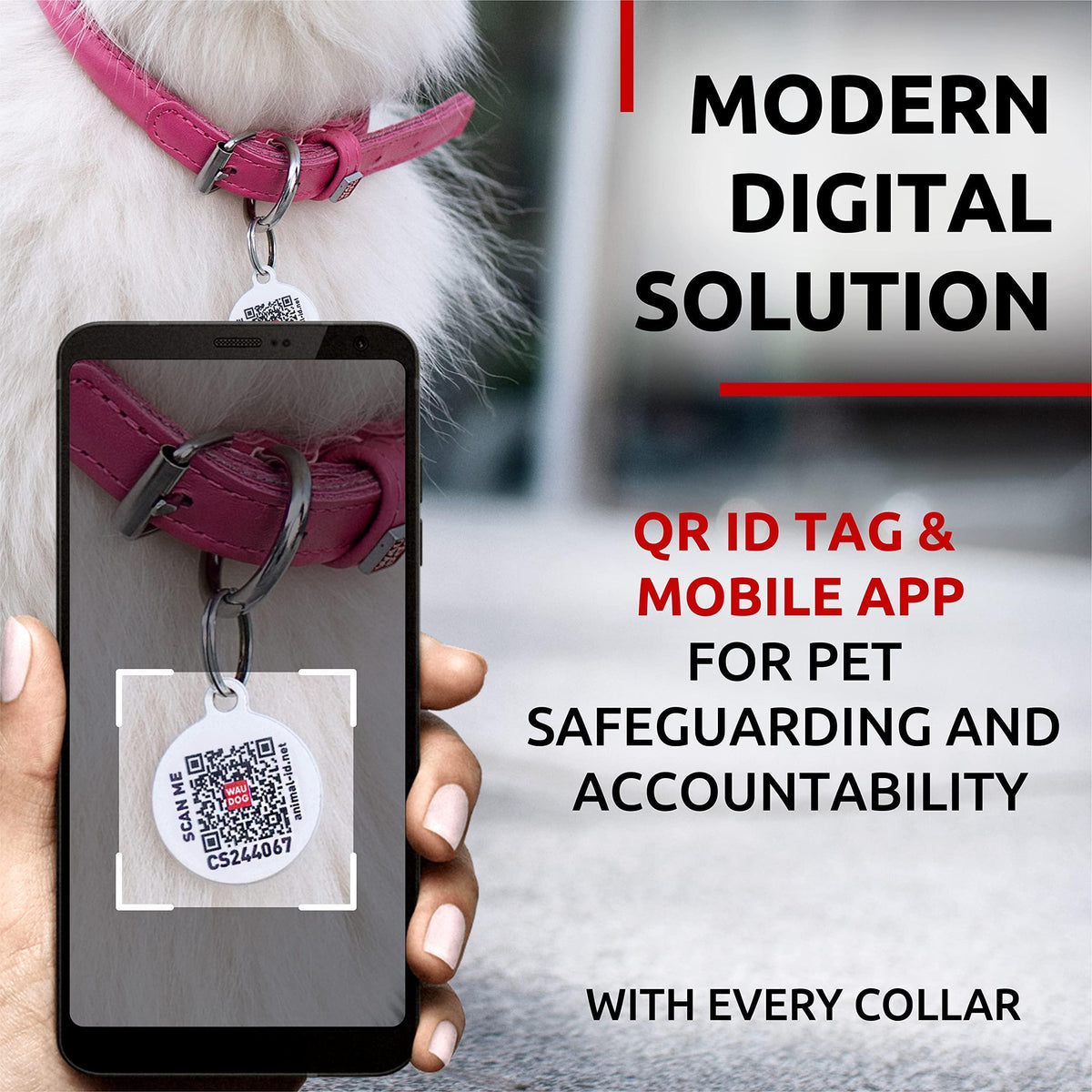 Collare per cani in pelle tubolare imbottito, tutte le taglie, circonferenza collo 25–33 cm, rosa