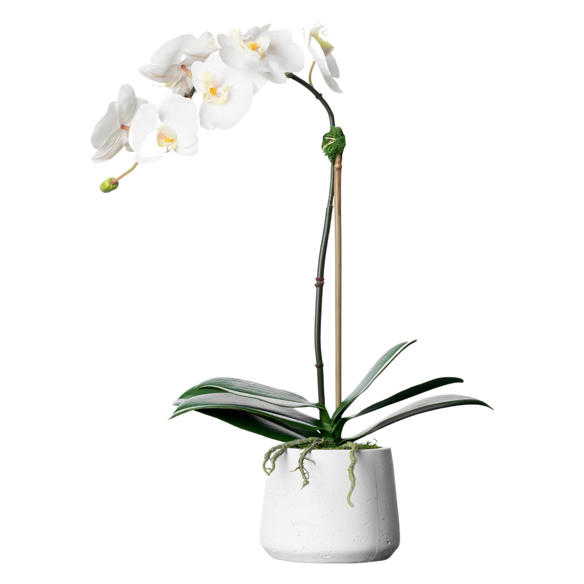 Pianta di orchidea artificiale - orchidea bianca in vaso bianco - 53 cm