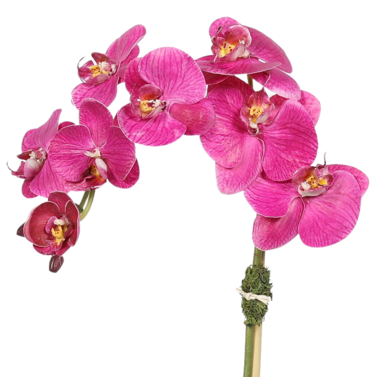 Orchidée artificielle dans vase carré - 50 cm
