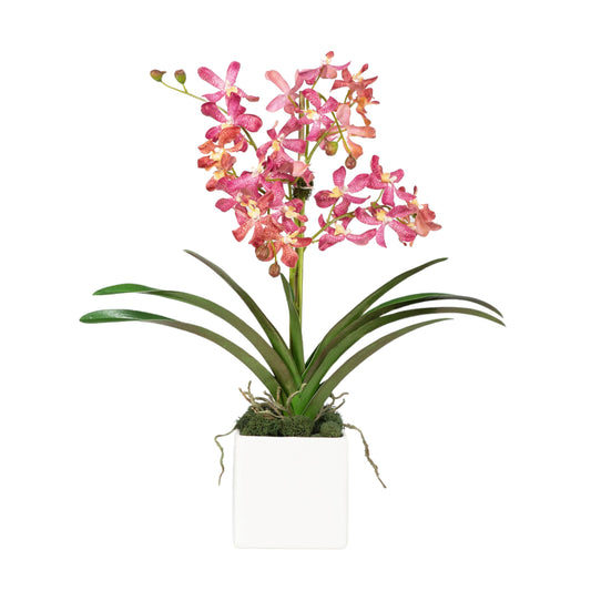 Pink Vanda Orchid Arrangement in Vase - 24"