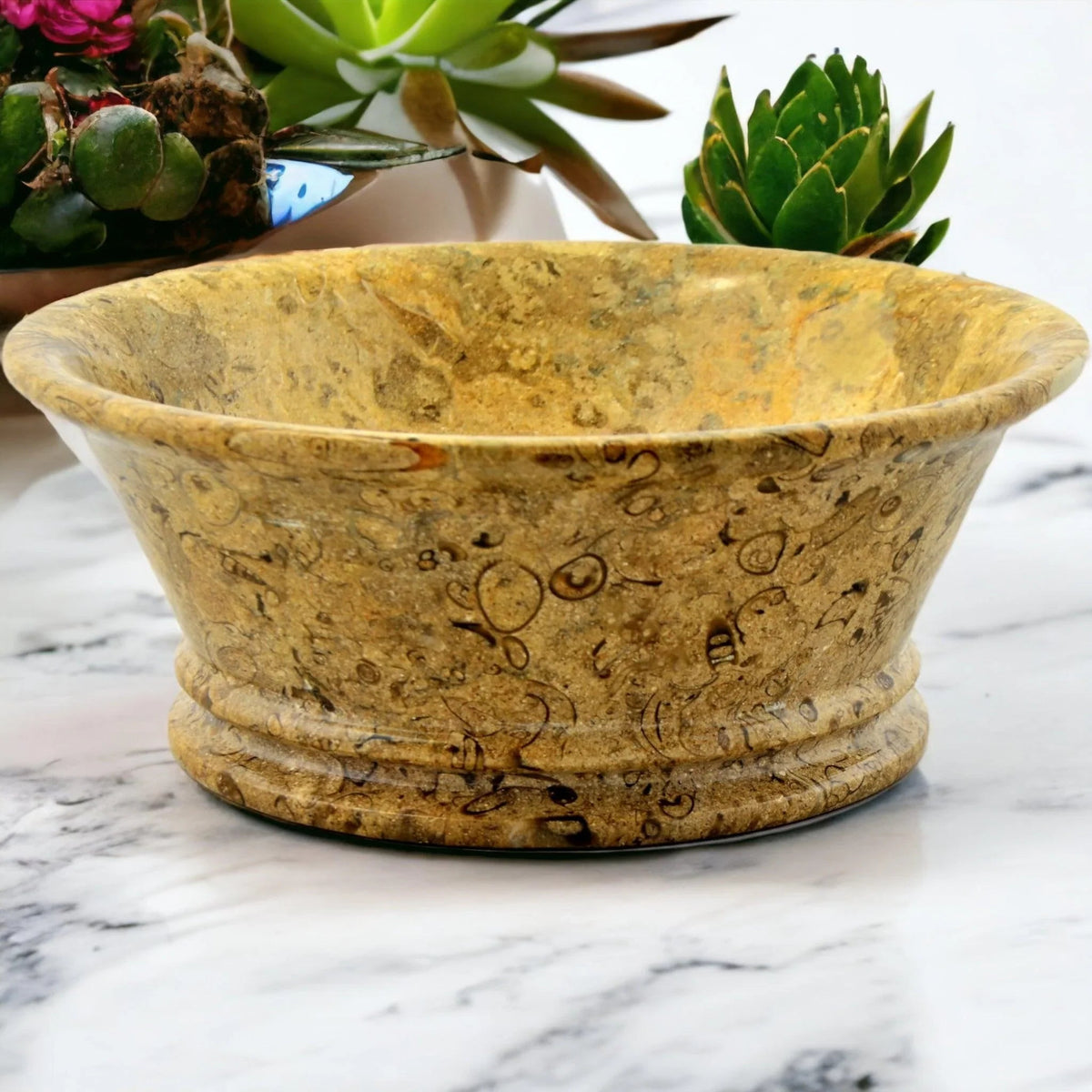 Coupe à fruits moderne en pierre fossile de 21,6 cm