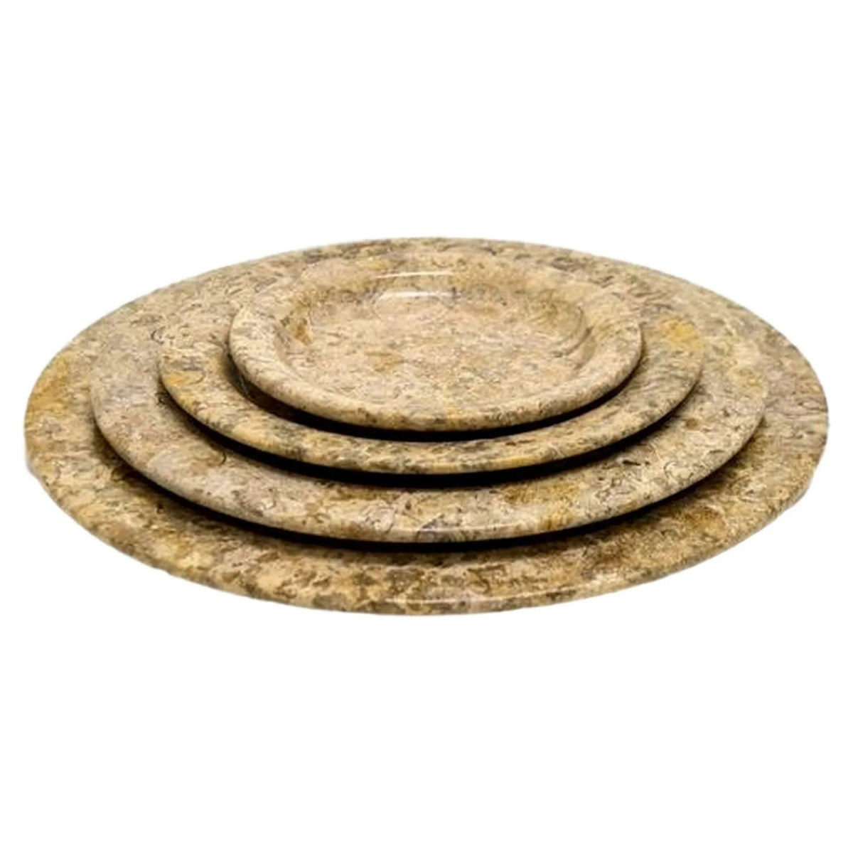 Assiettes de service en pierre fossile | Ensemble de 4
