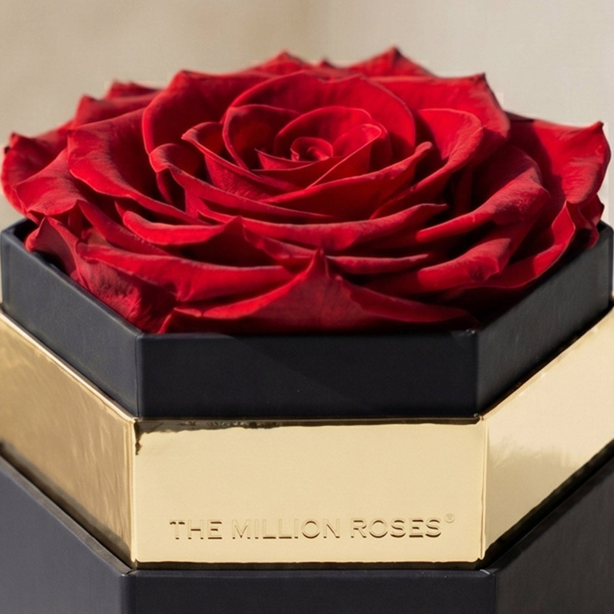 Coffret hexagonal noir One in a Million™ | Rose rouge