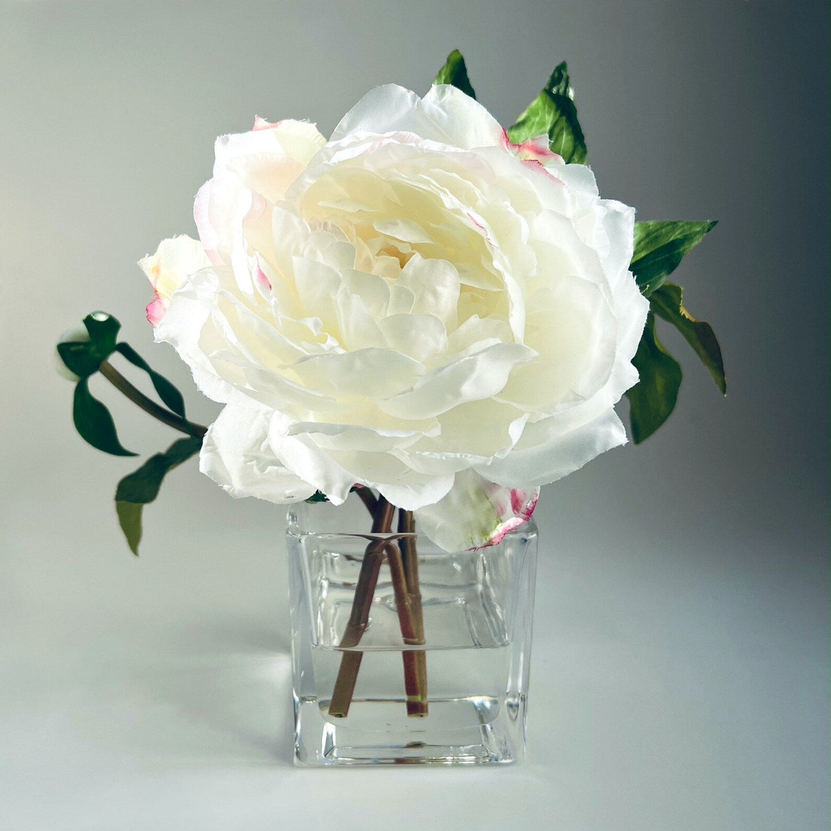 Composizione di peonie Real Touch in vaso di vetro - 8" (20 cm)