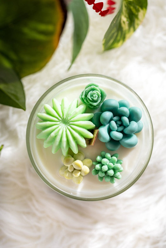 Bougie cactus succulente avec terrarium en verre, cadeau de jardin, parfum fleur de cactus
