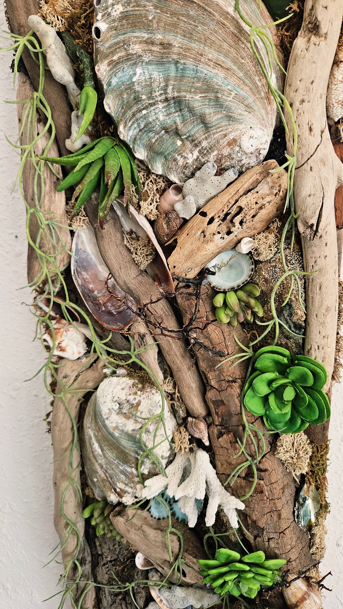 Pair of Coastal Driftwood & Succulent Mixed Media Wall Art Panels - 22.5"