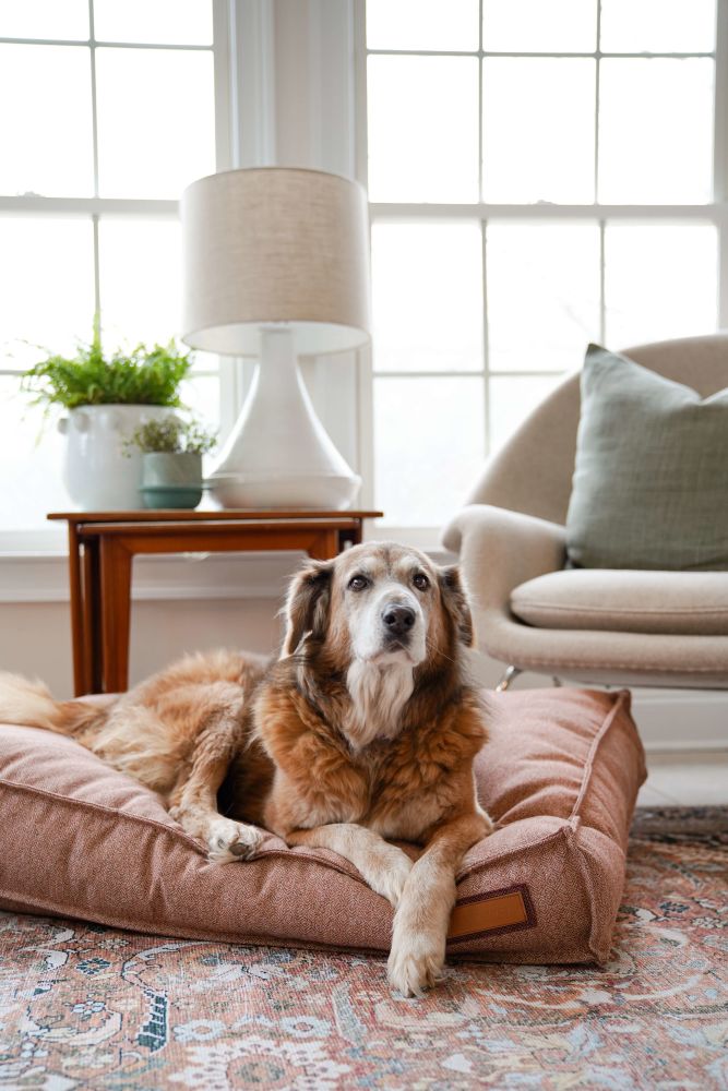 Lit pour animal de compagnie Lounger en rose Pittie