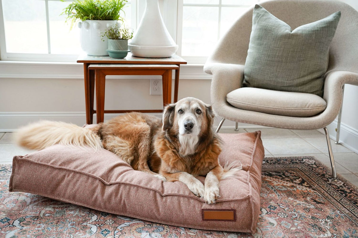 Lit pour animal de compagnie Lounger en rose Pittie