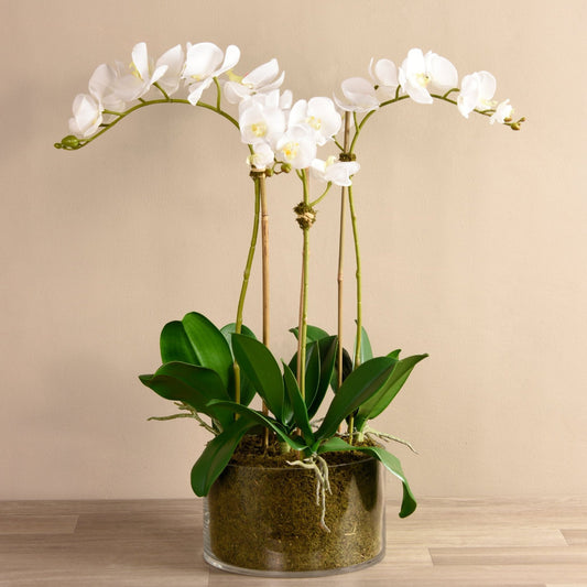 Elegant Real-Touch White Orchid Arrangement in Glass Vase – Luxury Faux Floral Centerpiece