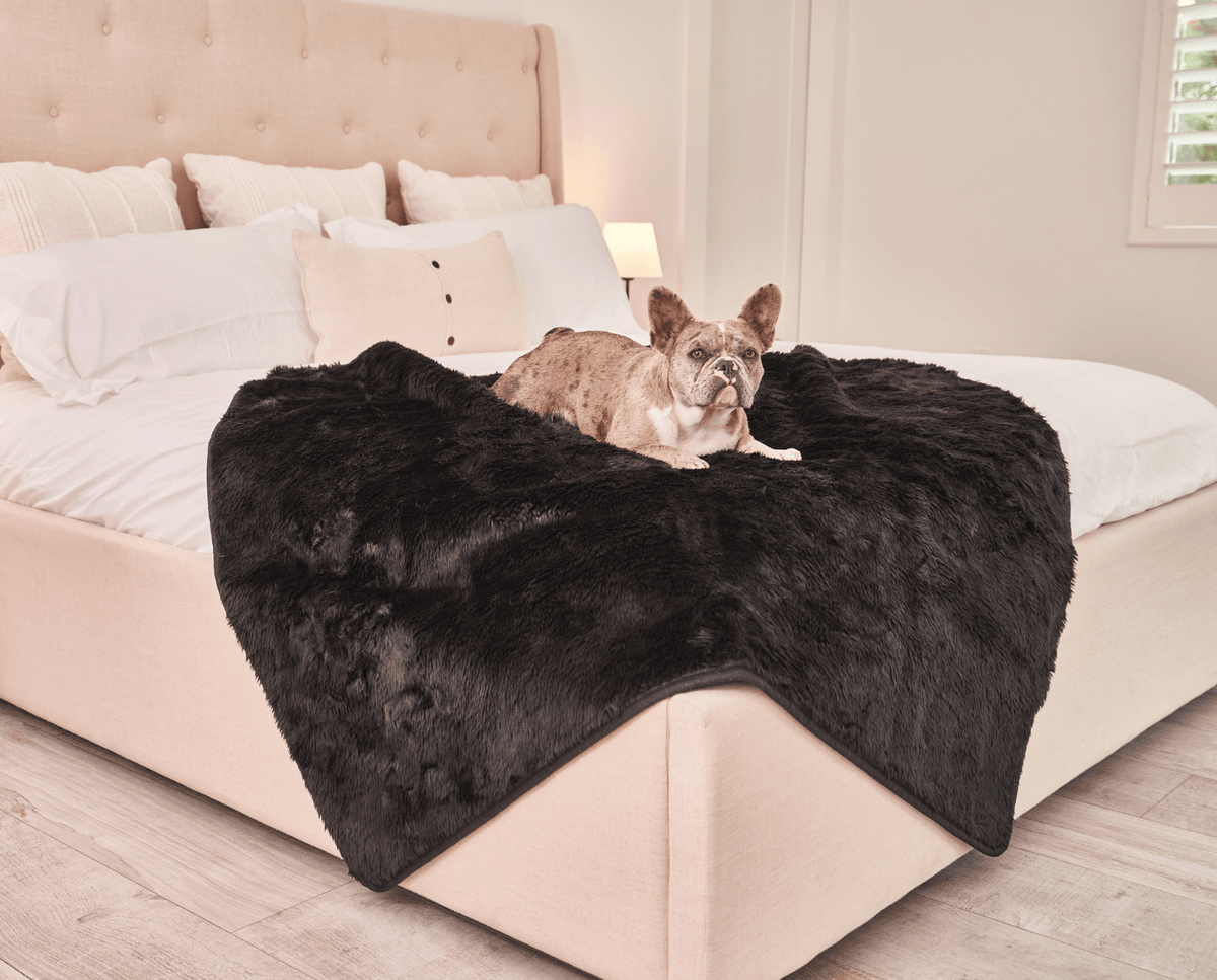 PupProtector™ Summer Short Fur Waterproof Throw Blanket - Midnight Black