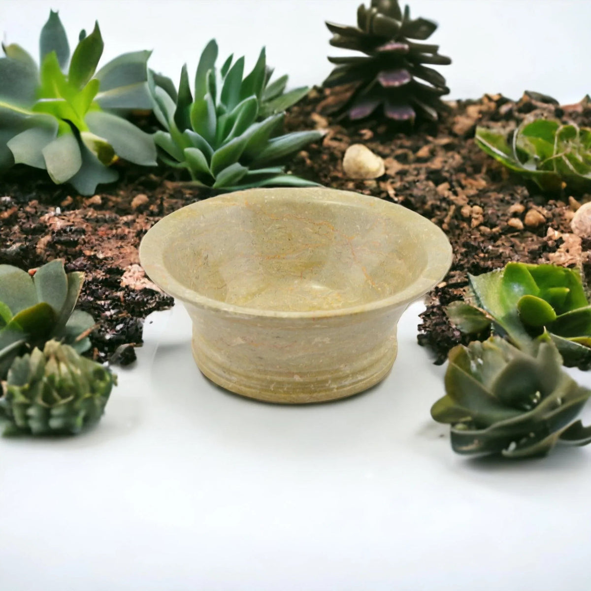 Fruttiera moderna - Ciotola da 8 pollici in marmo beige Sahara