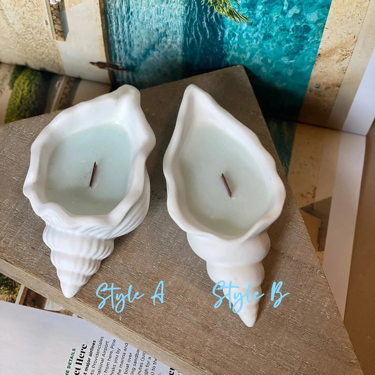 Candela a forma di conchiglia Ocean's Whisper | Contenitore in Jesmonite