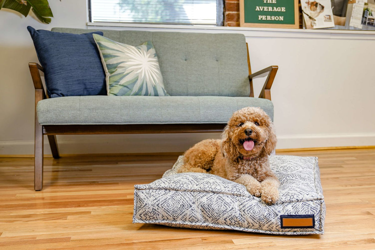 Cuccia Lounger color Sapphire Spaniel
