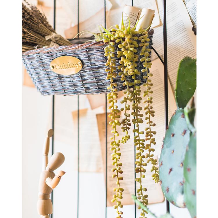 Tige de plante grasse suspendue façon perles, 26" de long