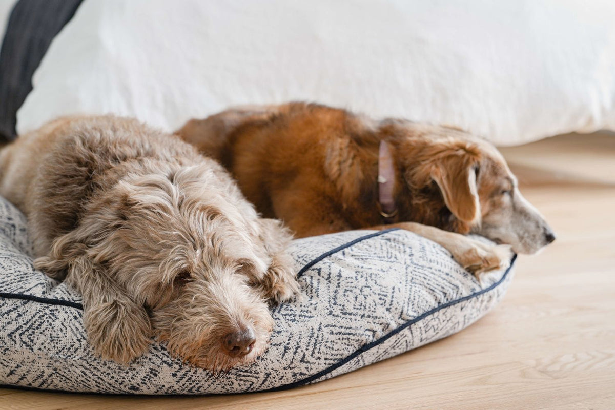 Cuccia rotonda per animali domestici Sapphire Spaniel