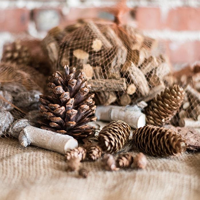 Decorazione con pigne