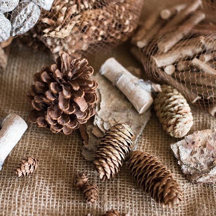 Decorazione con pigne