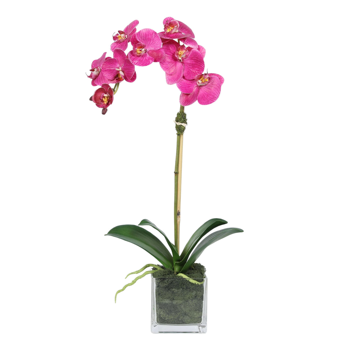 Orchidée artificielle dans vase carré - 50 cm