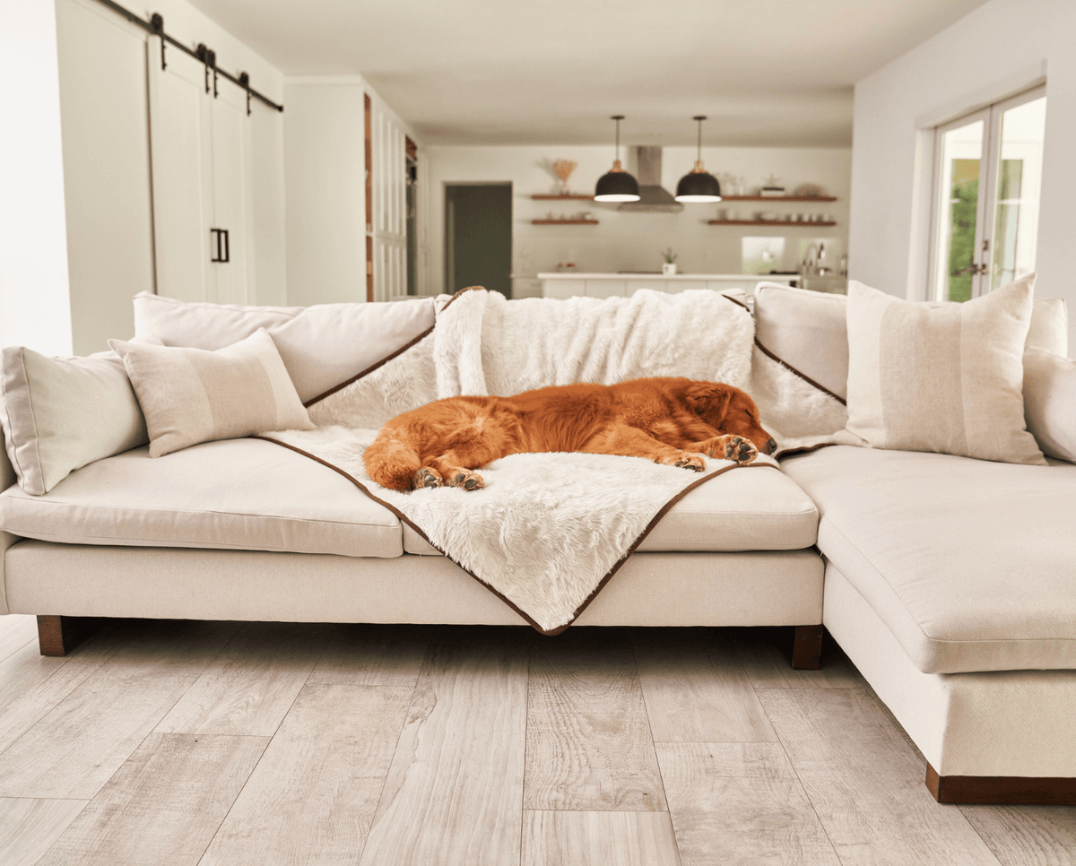 PupProtector™ Summer Short Fur Waterproof Throw Blanket - Polar White