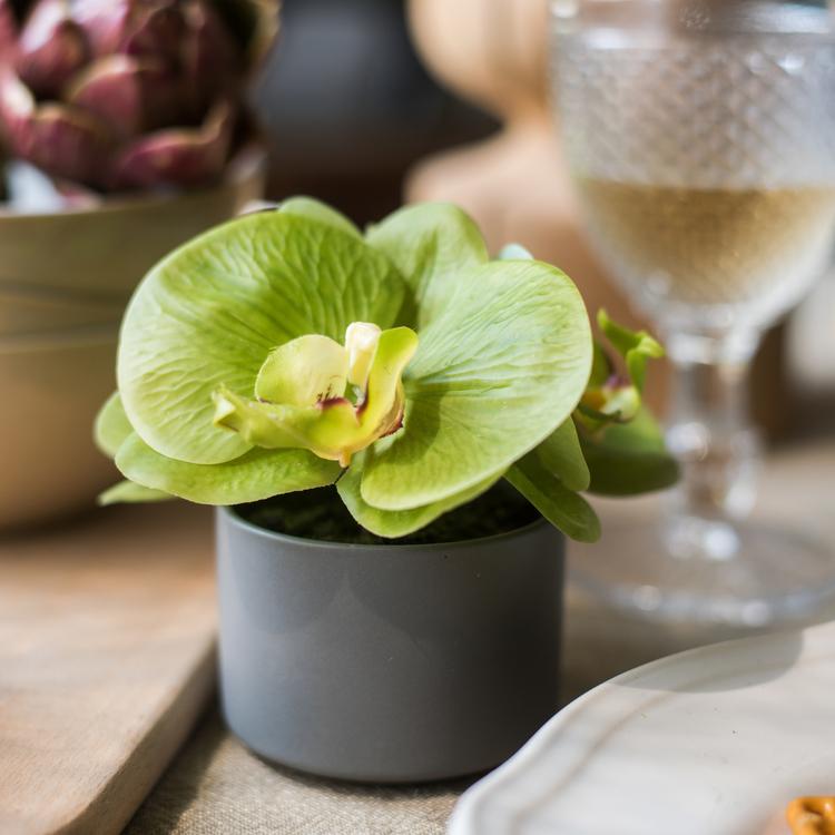Mini orchidea artificiale in vaso, effetto real touch, verde