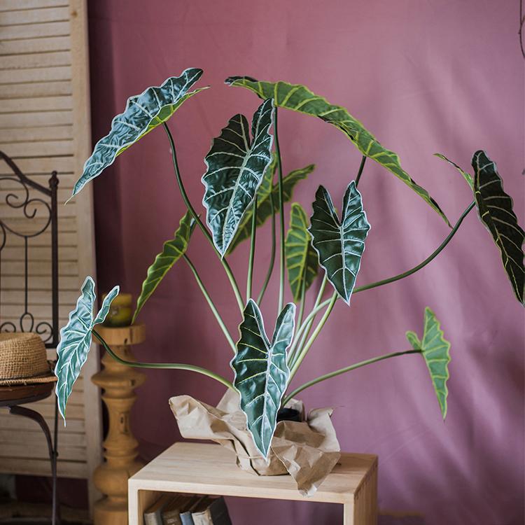 Plante Alocasia artificielle en pot, 79 cm de hauteur