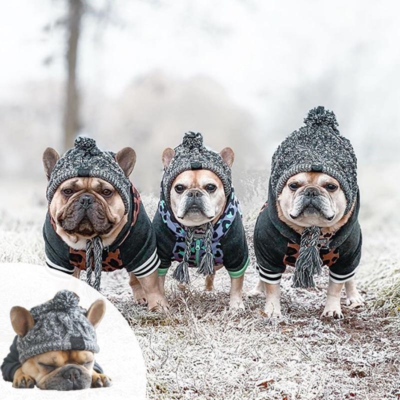 Bonnet en tricot chaud pour animal de compagnie automne-hiver avec pompon