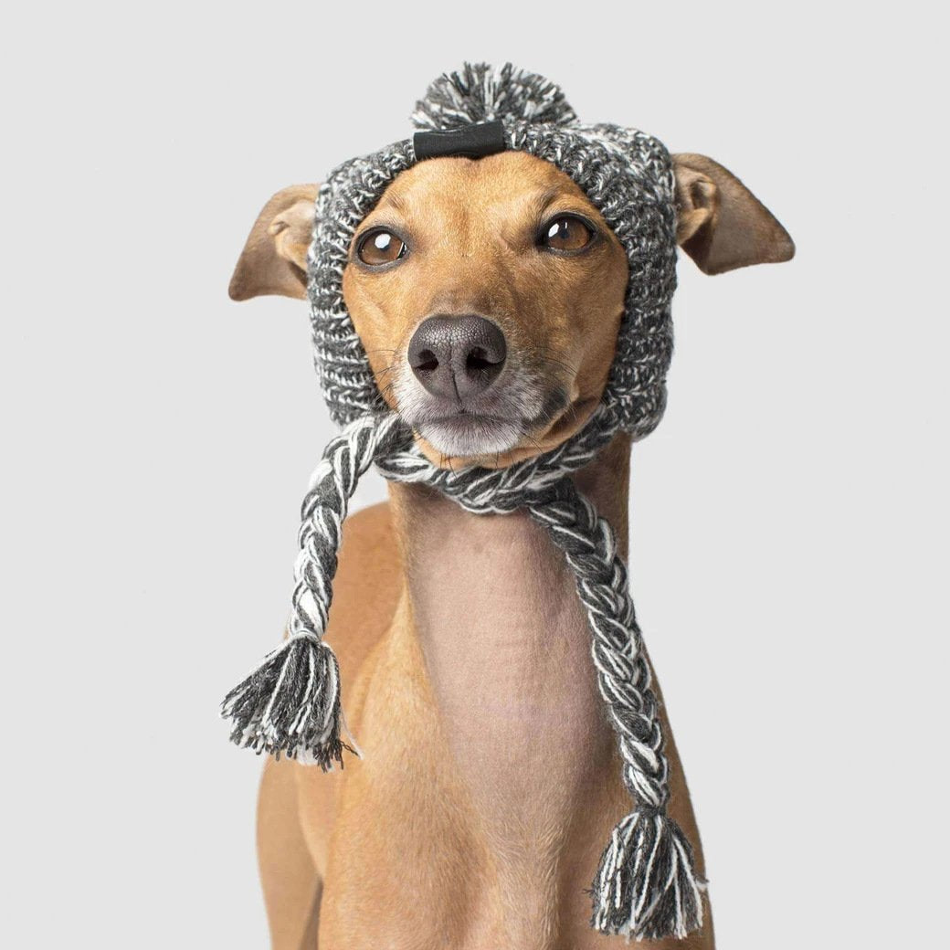 Bonnet en tricot chaud pour animal de compagnie automne-hiver avec pompon