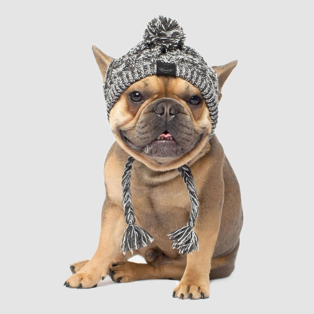 Bonnet en tricot chaud pour animal de compagnie automne-hiver avec pompon