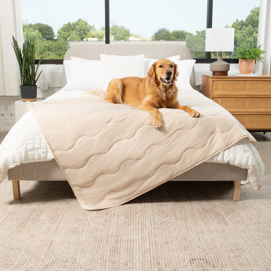 Couverture rafraîchissante et imperméable PupChill™ - Sable arctique