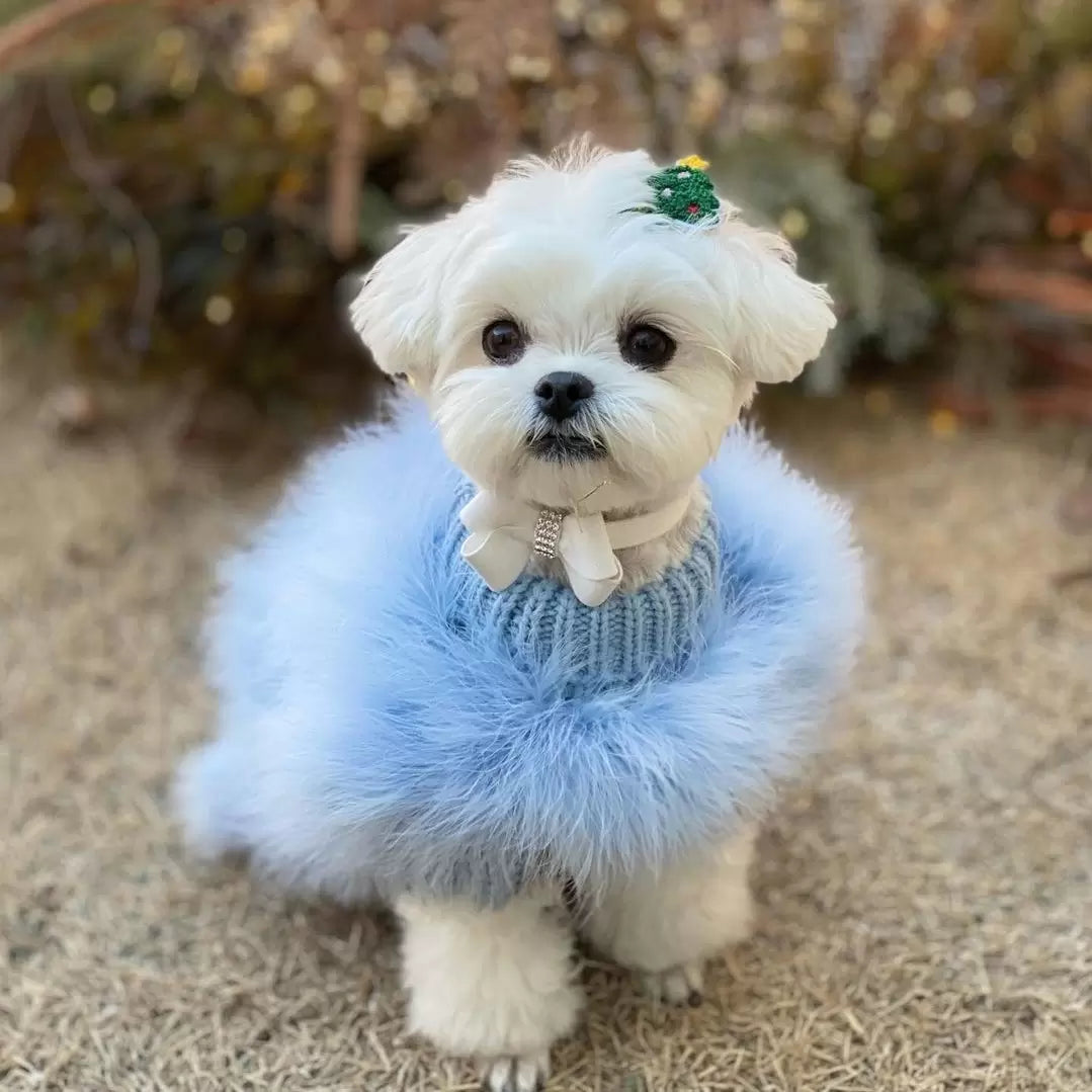 Pull pour animal de compagnie de luxe en plumes Haute Couture